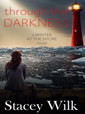 cover image of Through the Darkness